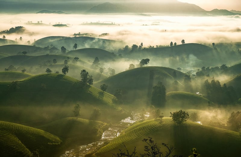 Lush Valleys